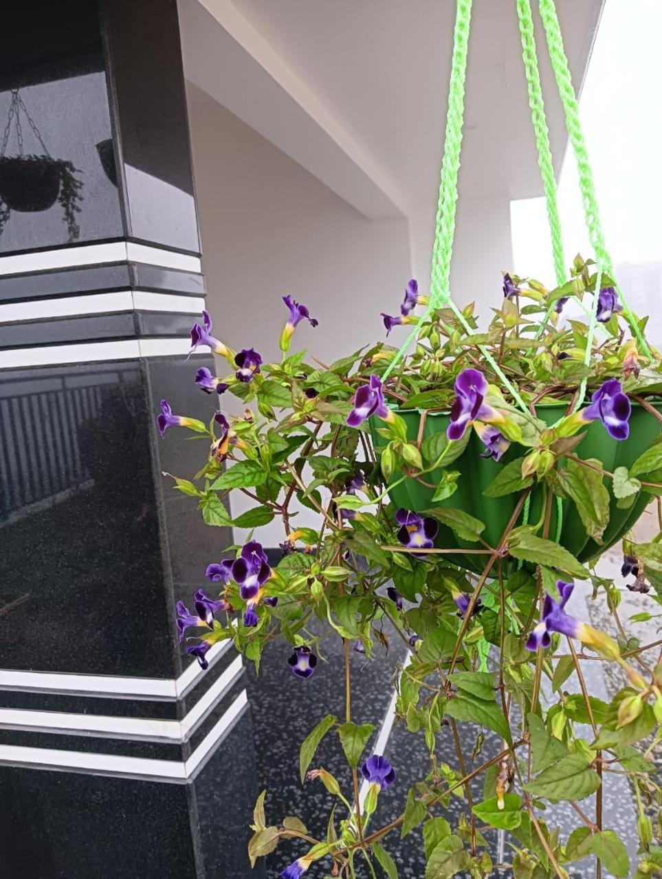 Villa Bro Code Marayoor à Maraiyūr Extérieur photo